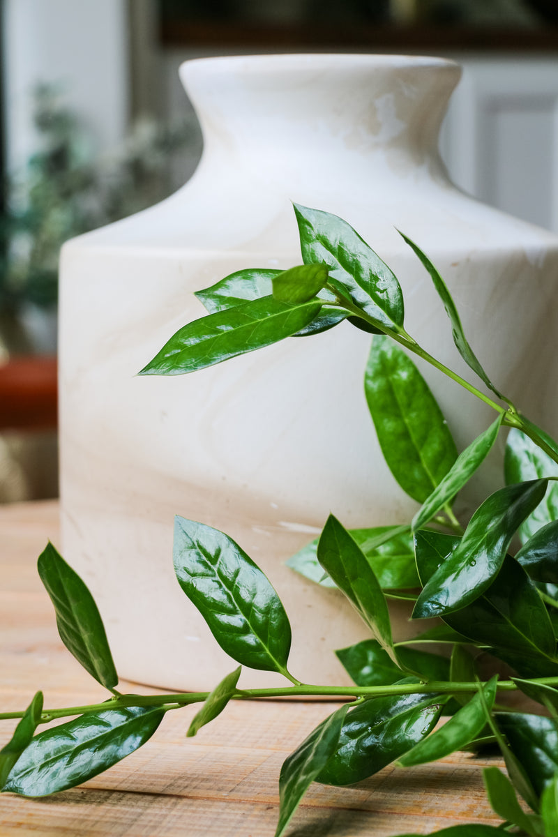 Rivka Vase